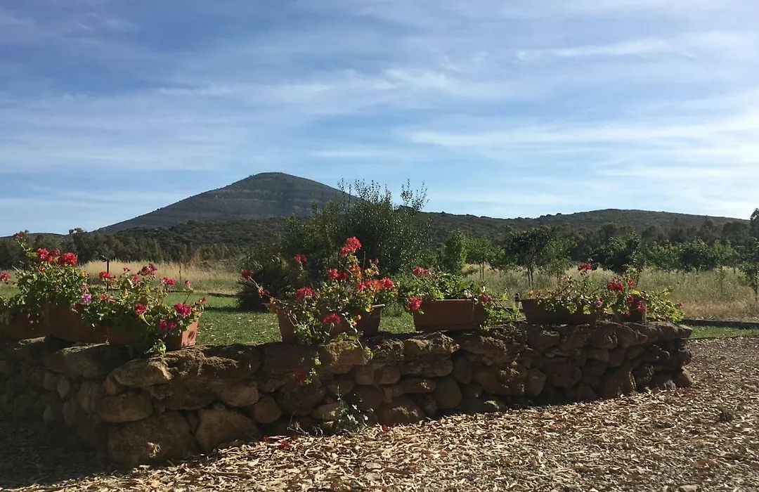 Villa Arzilla Sardegna-1